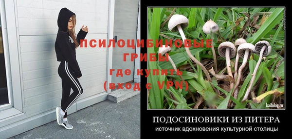 не бодяженный Арсеньев