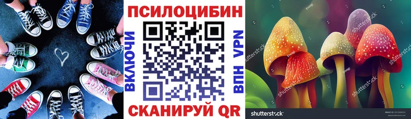 купить наркоту  Саянск  Галлюциногенные грибы Magic Shrooms 